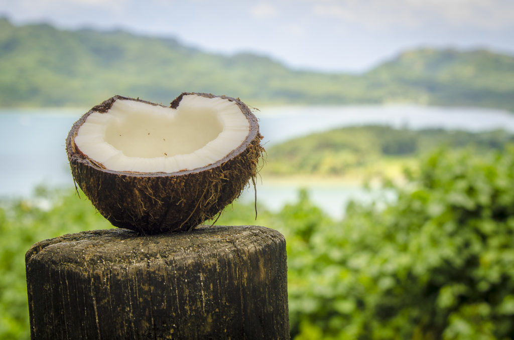 une noix de coco coupée en deux, posée sur un support en bois, avec le décor d'une île en arrière plan
